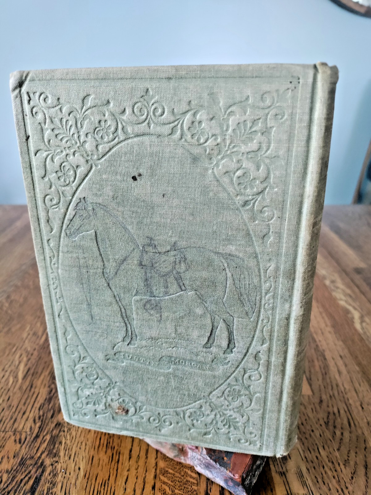 1857 Morgan Horses D.C.Linsley 1st Ed ‚Justin Morgan‘ Vermont Horse History VG