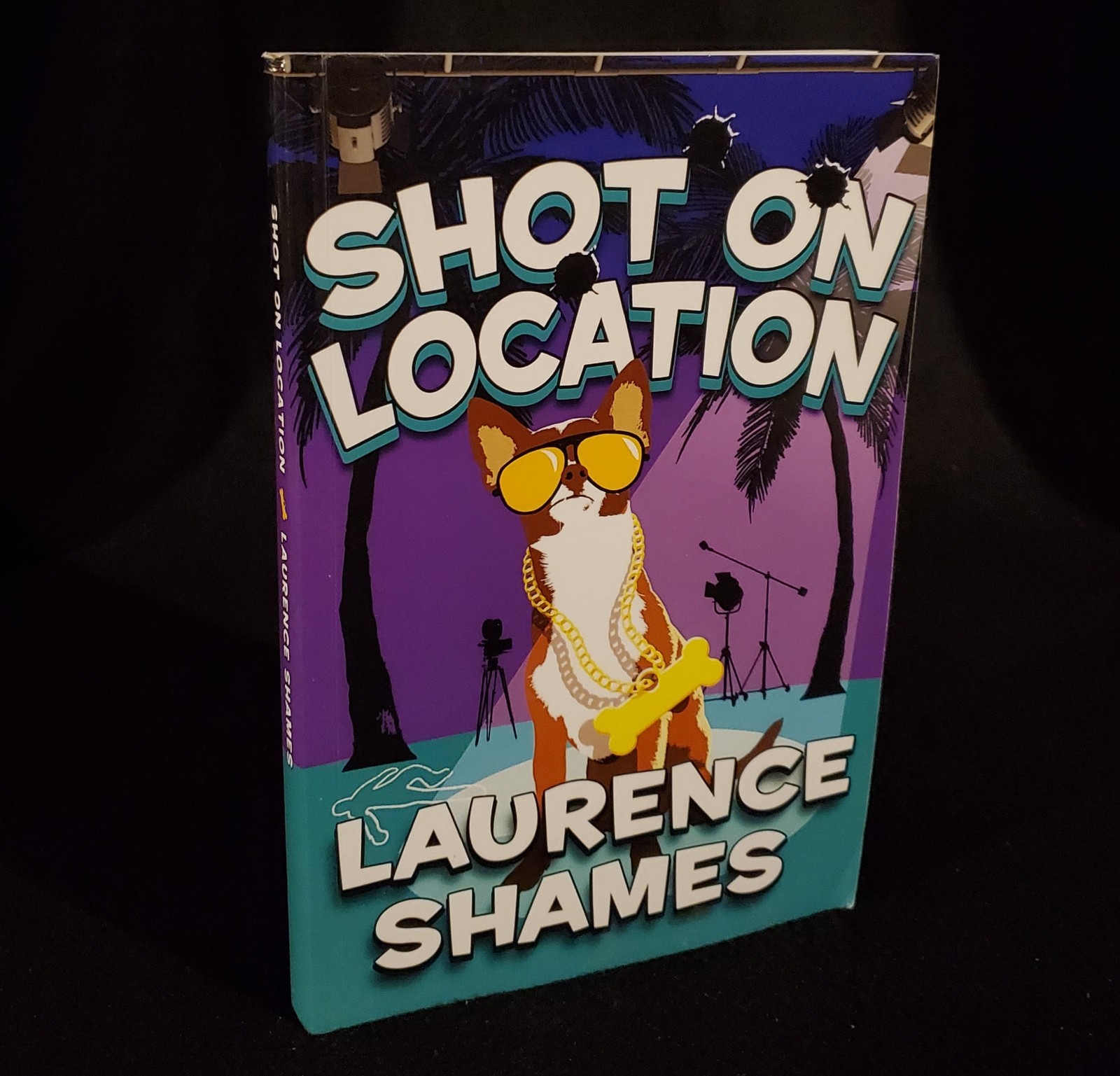 Shot on Location by Laurence Shames 2013 Softcover Book