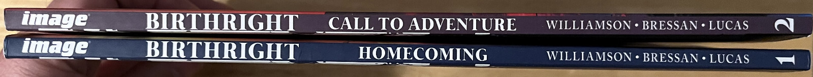 Birthright Volume 1 & 2 Graphic Novels, Homecoming & Call To Adventure