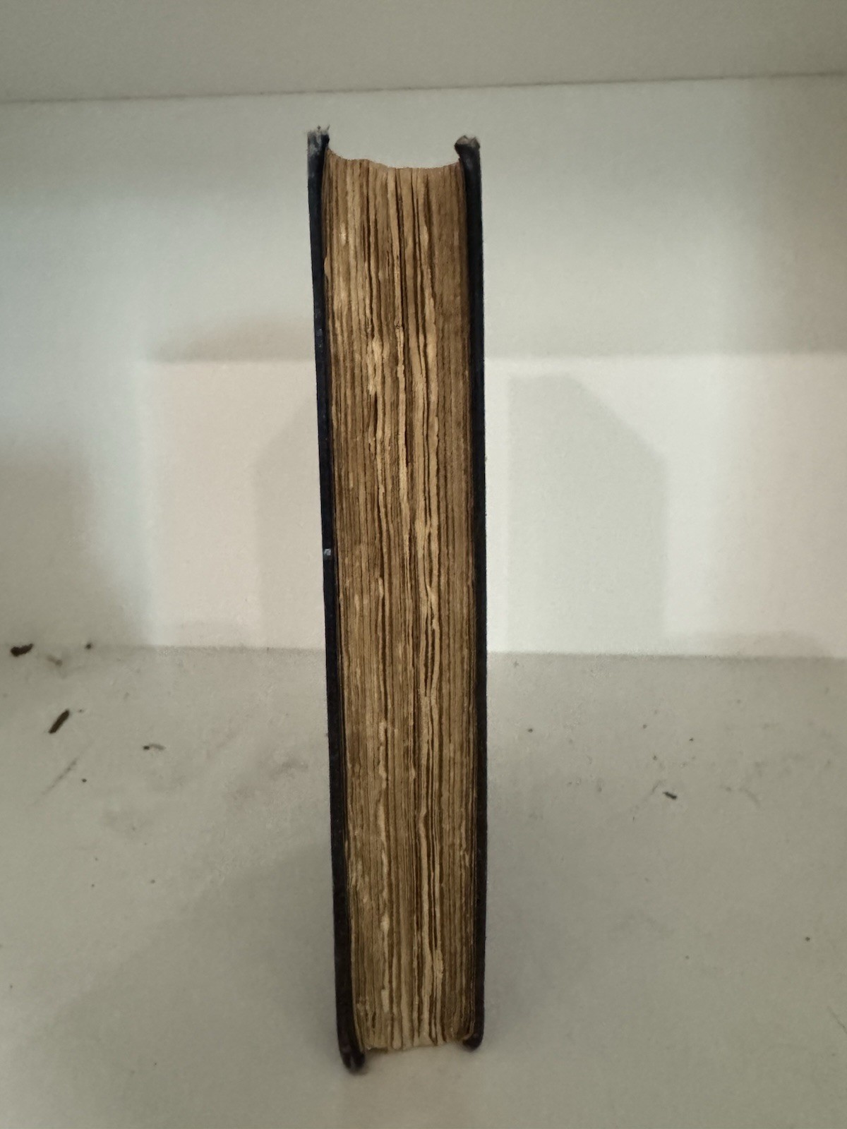 1901 First Edition The Ruling Passion by Henry Van Dyke Antique Hardcover Book