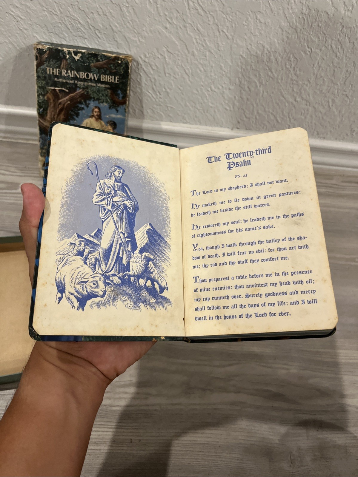 The Rainbow Bible King James Version For Young People 603 Worn
