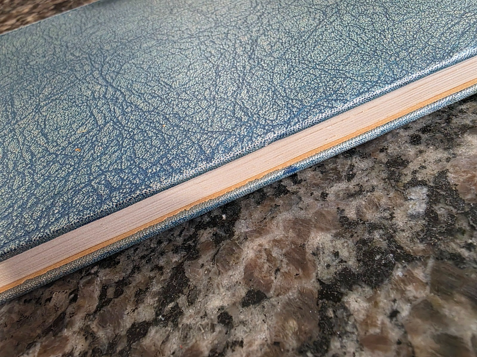 1933 Century of Progress Official Guide Book Of the Fair Chicago World’s Fair LB
