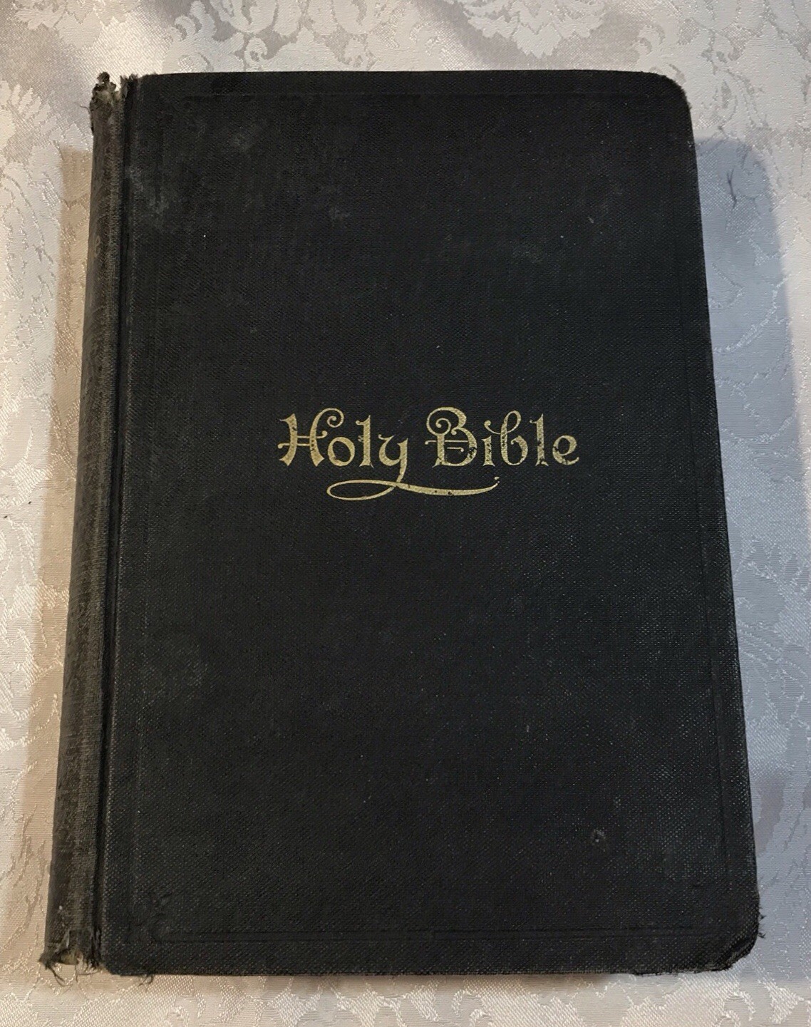 1900s Self-Pronouncing Holy Bible John C. Winston Company International Series