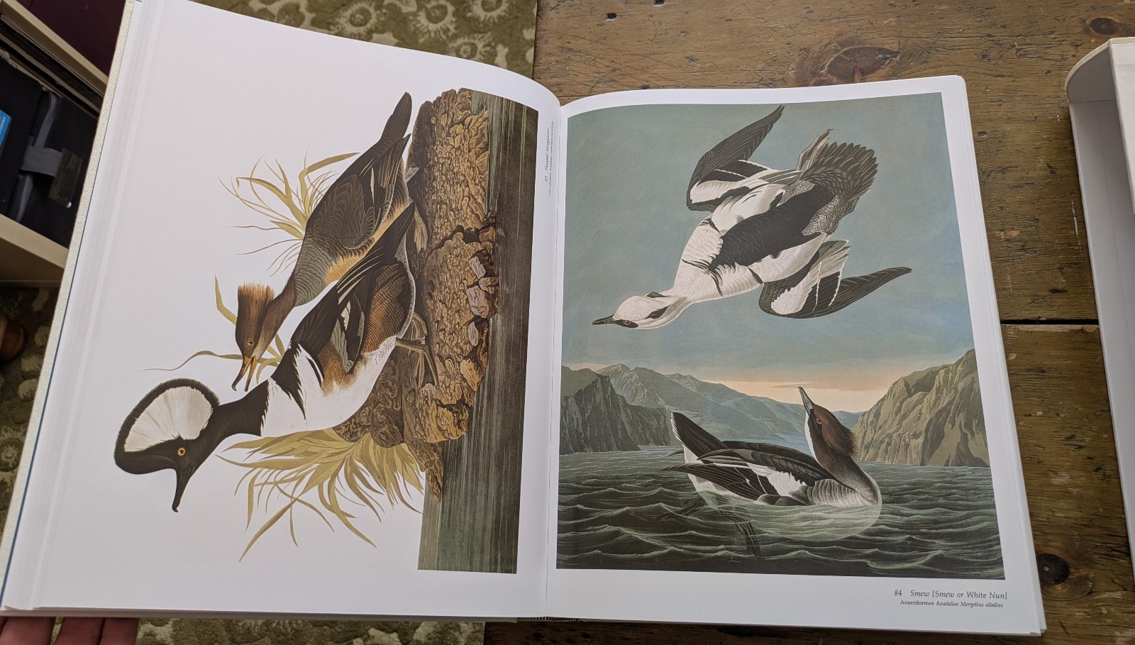 1990 AUDUBON’S BIRDS OF AMERICA from the Abbeville Press