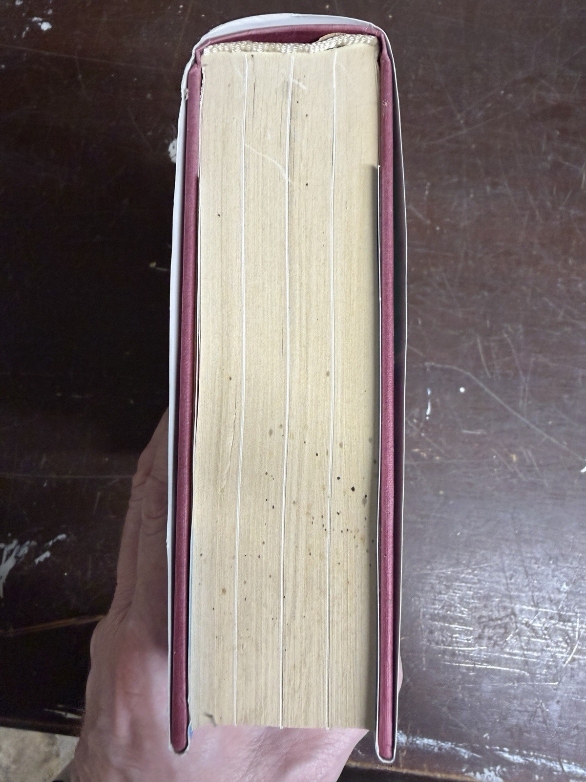 SIGNED Vikram Seth Two Lives First Edition 1st Printing 2005 Hardback Dust Jacke