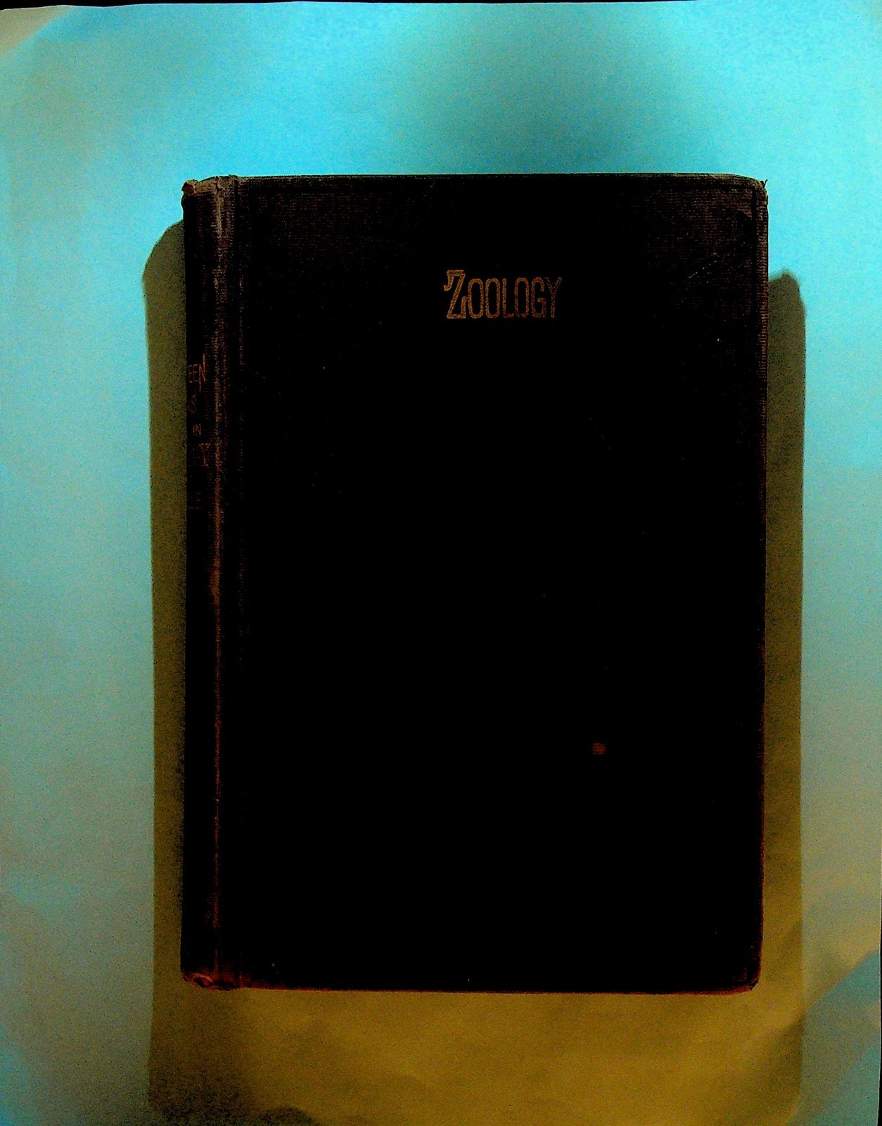 Fourteen Weeks in Zoology by J Dorman Steele 1876 HC Book Animals