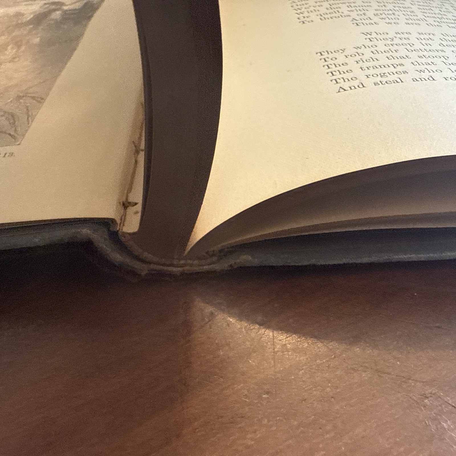 Farm Festivals by Will Carleton, 1881, HB Poetry 1st Ed
