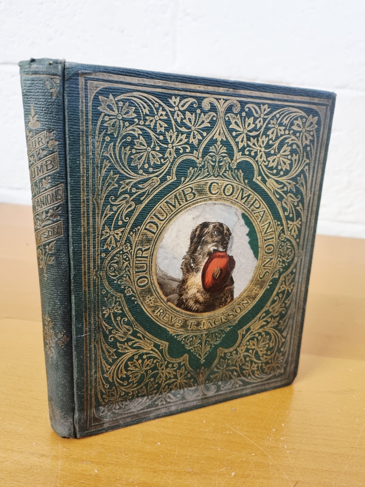 THOMAS JACKSON Our Dumb Companions – second edition – S. W. Partridge – w