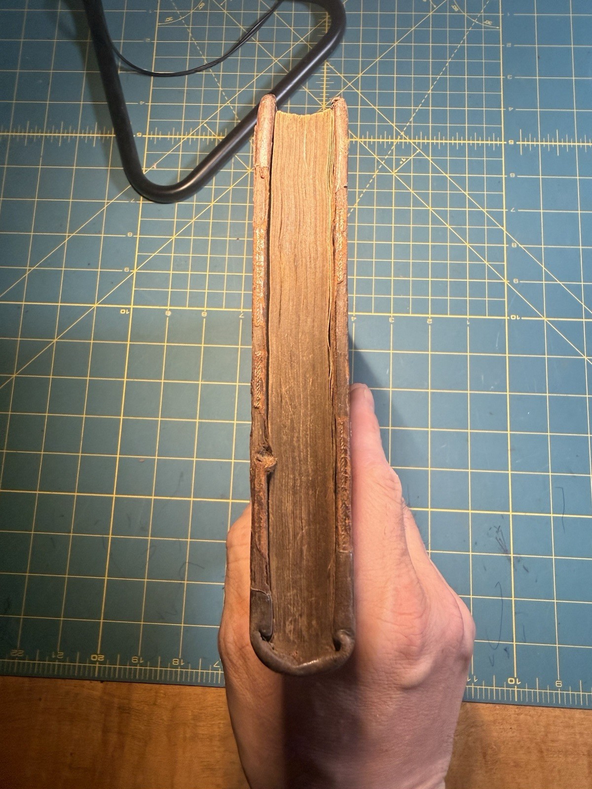 1778 The Kisses of Joannes Secundus Basia Bartolozzi KALTHOEBER Binding Calf
