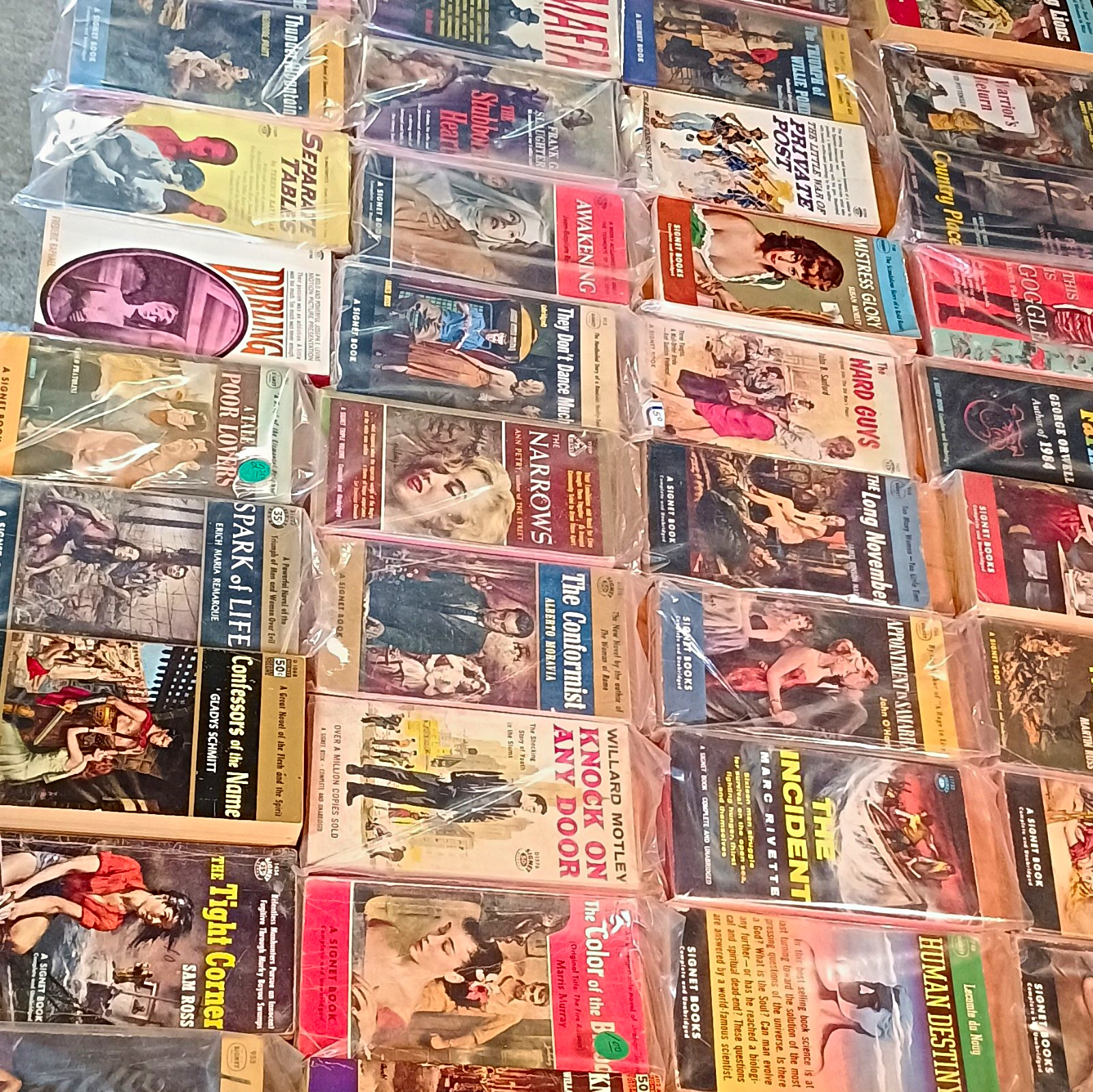 Lot Of 75 Smut Vintage Paperback And Classics Lot, Also George Orwell