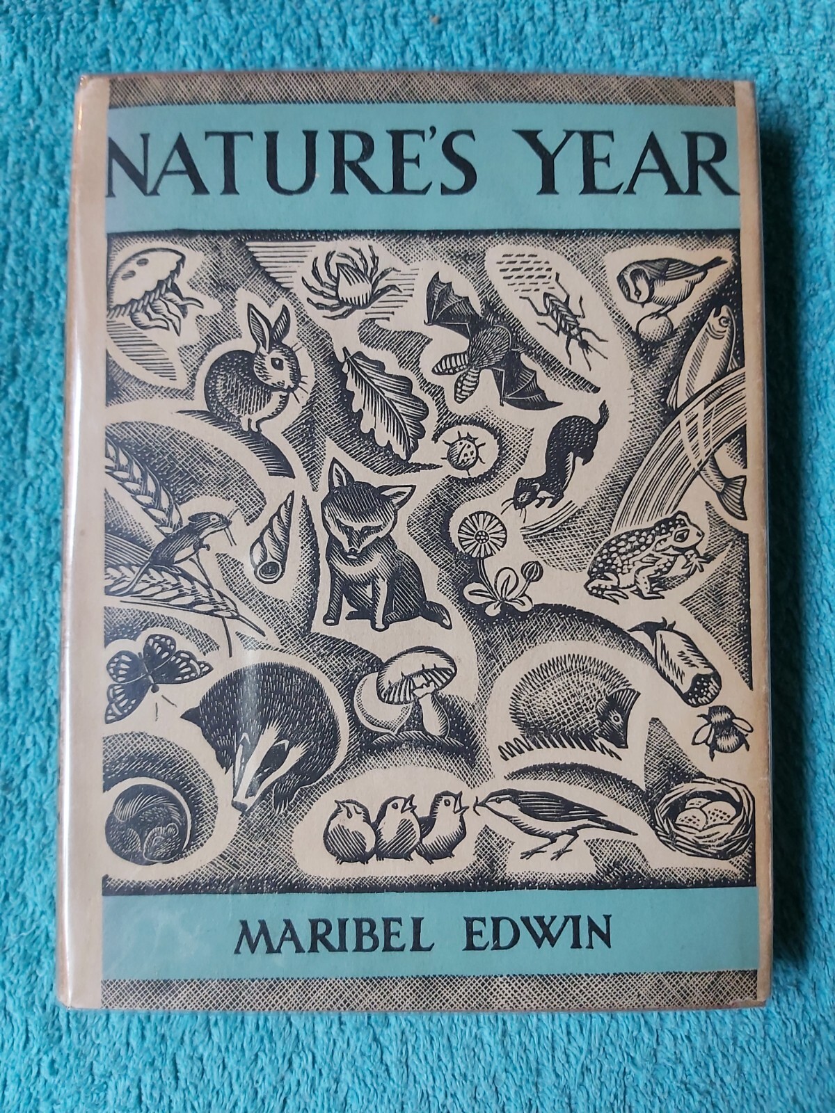 Nature’s Year by Maribel Edwin, 1st Edition 1947, Longmans Green & Co. hardback
