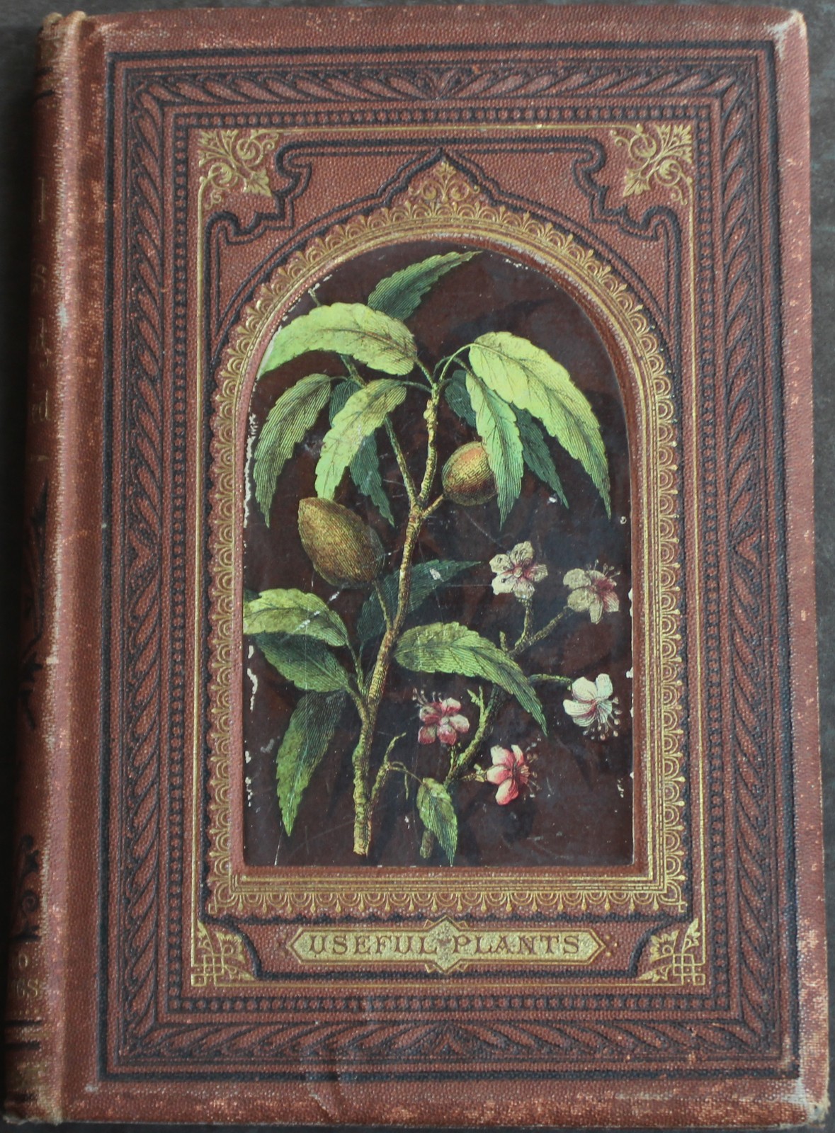 Rare Antique Old Book Useful Plants 1870 Nature Garden Flower Tea Sugar Cacao ?