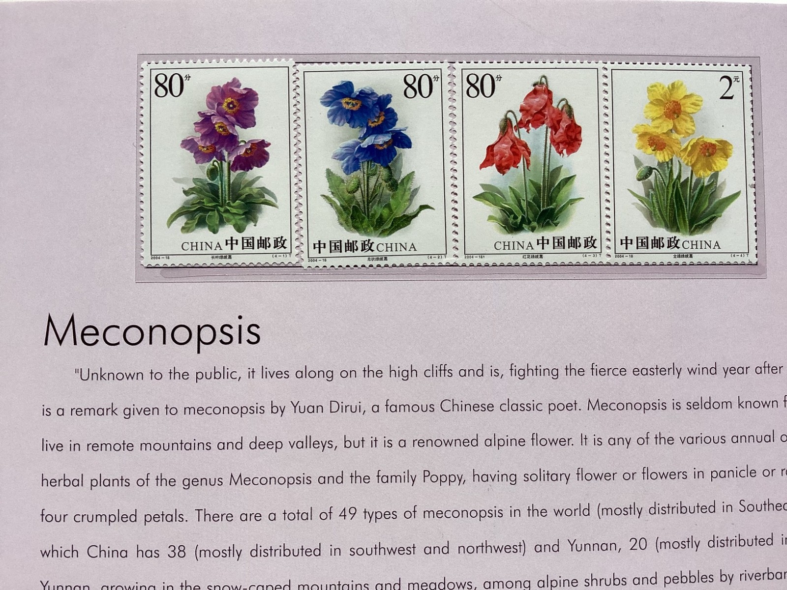 Blooming Flowers in Yunnan with MNH stamps China camellias etc in clamshell box