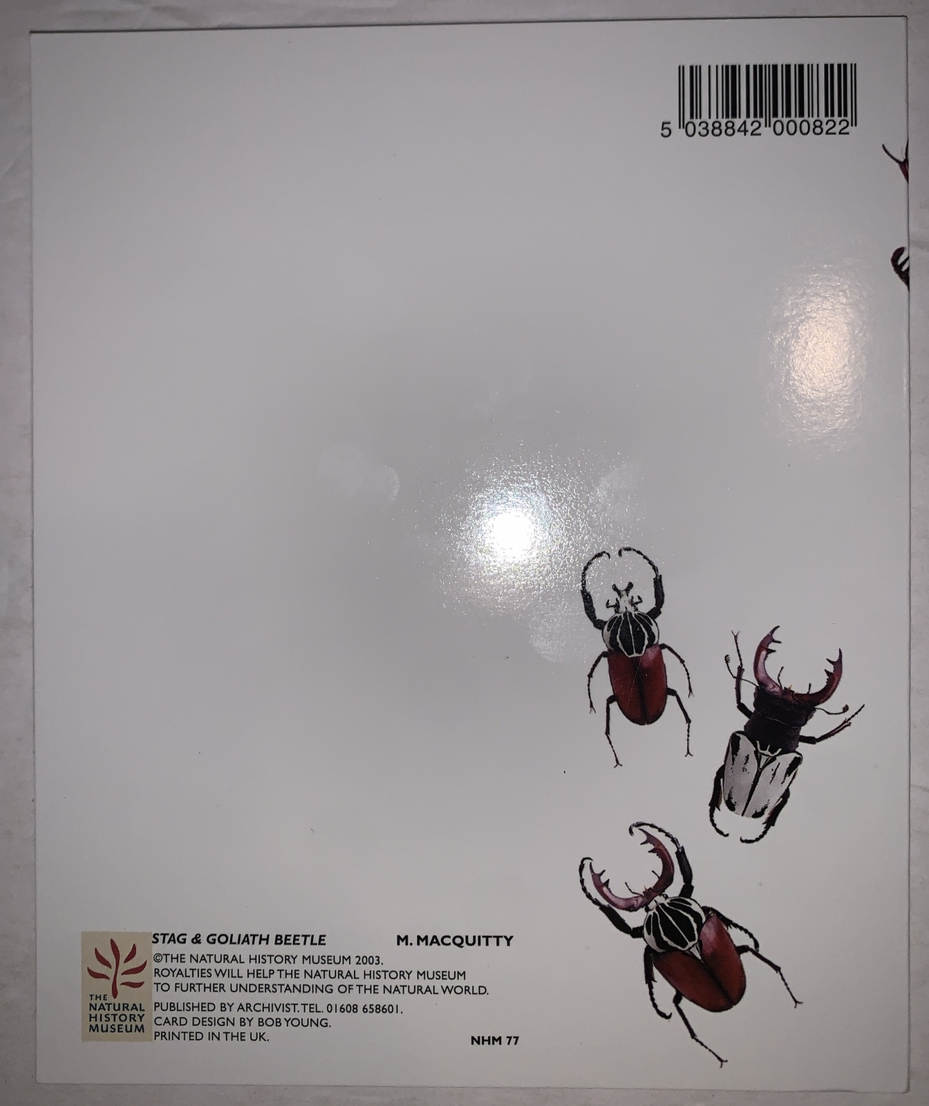 KENNETH GRANT SIGNED, HANDWRITTEN CARD, OCCULT, BEETLES, 2/17/04, TYPHONIAN OTO