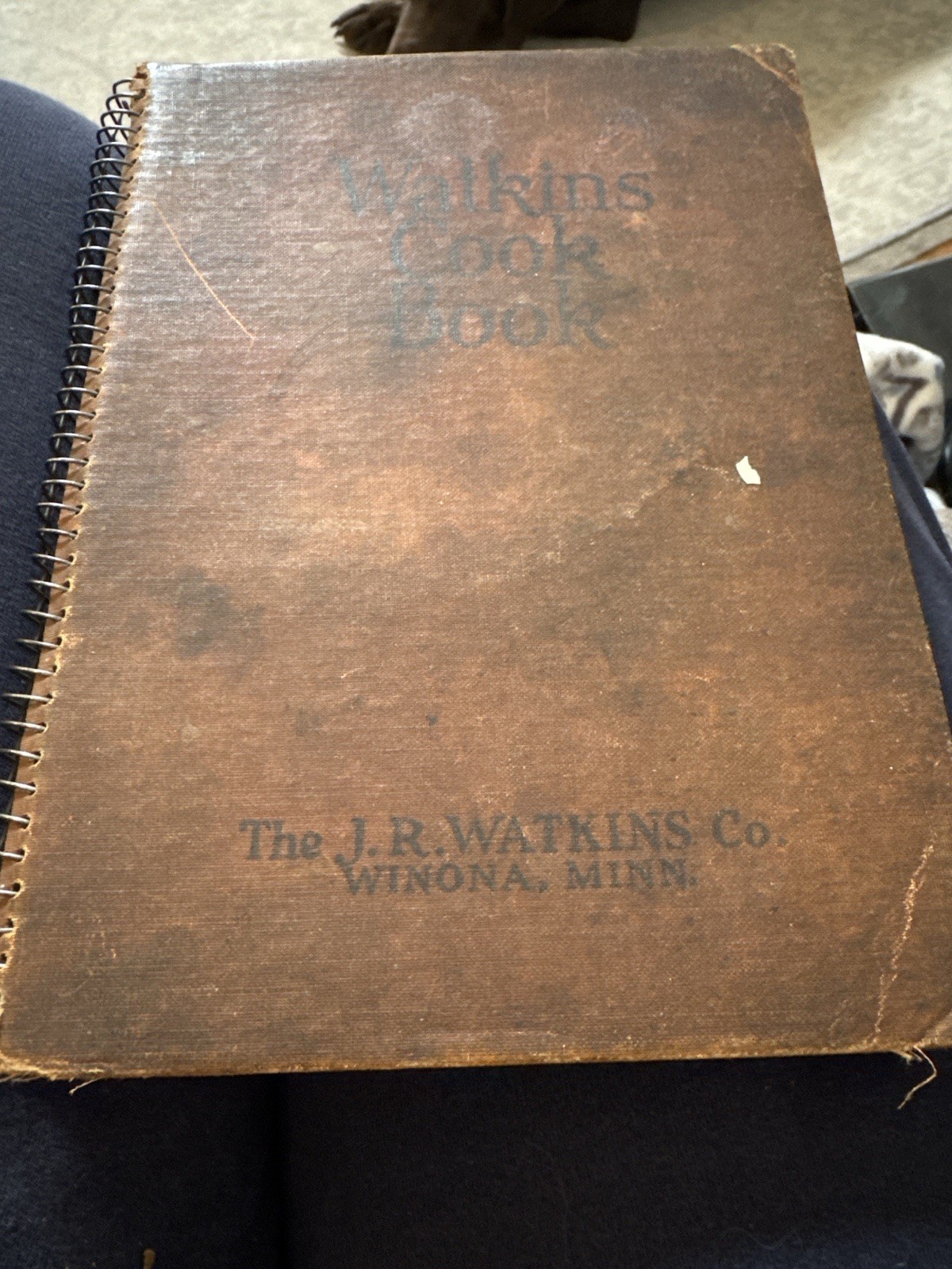 1936 Watkins Cook Book J.R. Watkins Winona MN Spiral Vintage Cookbook