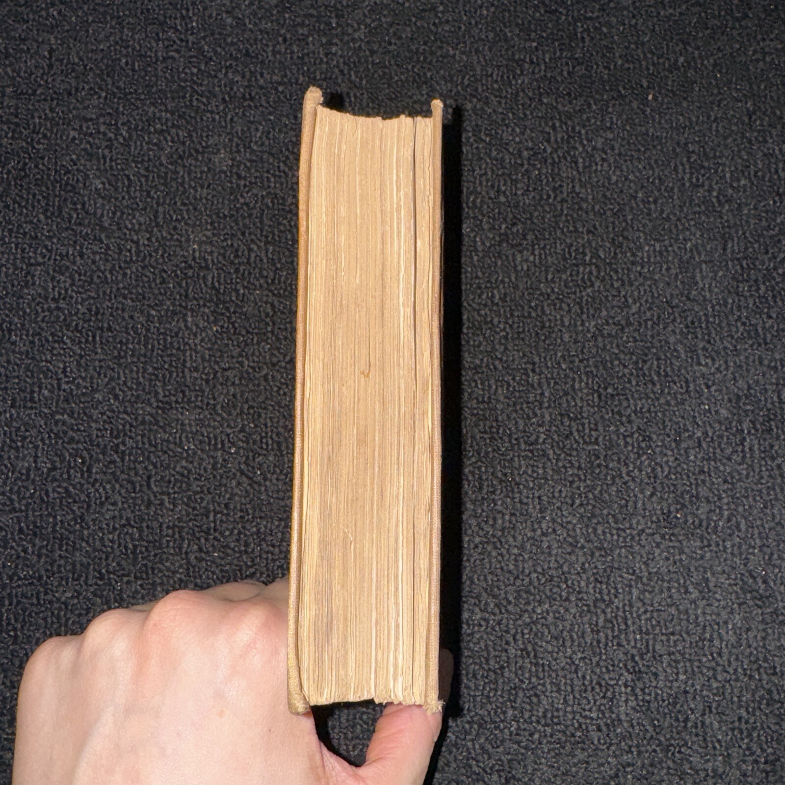 1857 The Young Yägers Narrative of Hunting Adventures in Southern Africa by Reid