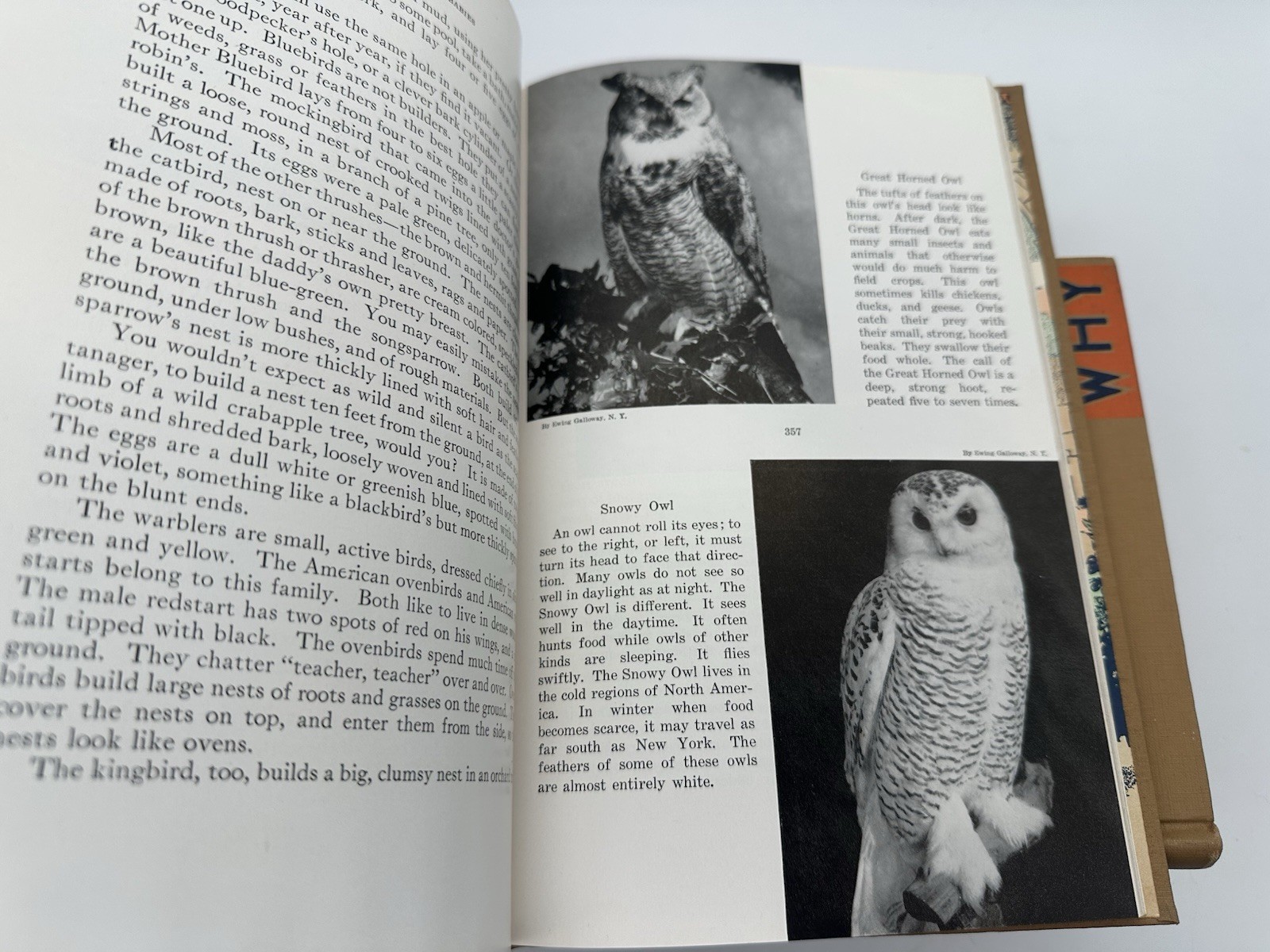 The How and Why Library Book Lot – Mid-20th Century Set of Six Hardcover (1956)