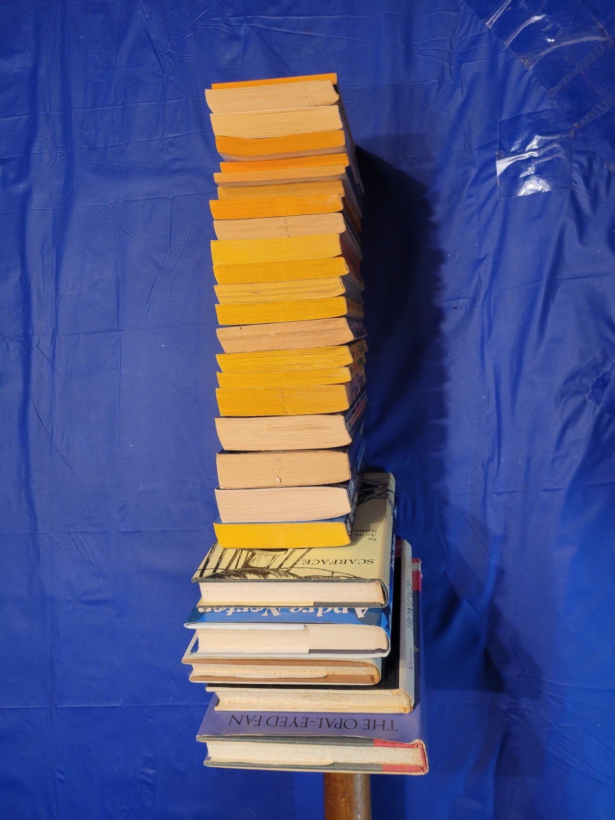 26 ANDRE NORTON Science Fiction SYFY Books Stand Alone Novel Book LOT PB & HB
