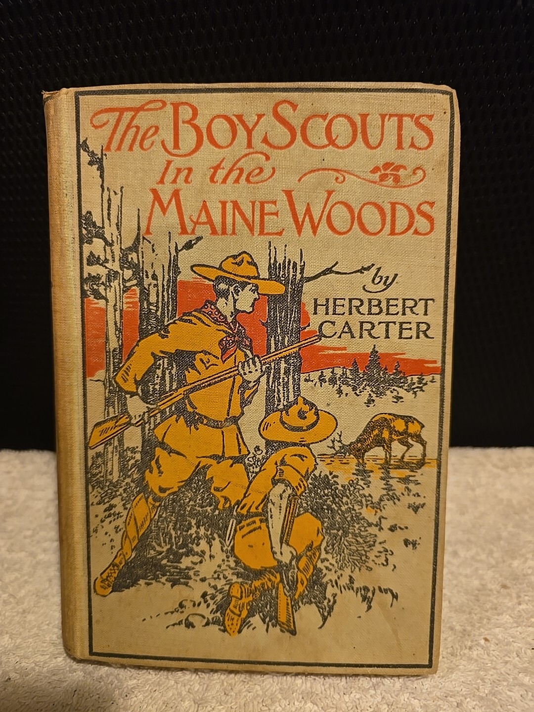 1913 Youth Novel, ‚The Boy Scouts of the Maine Woods‘ by Herbert Carter