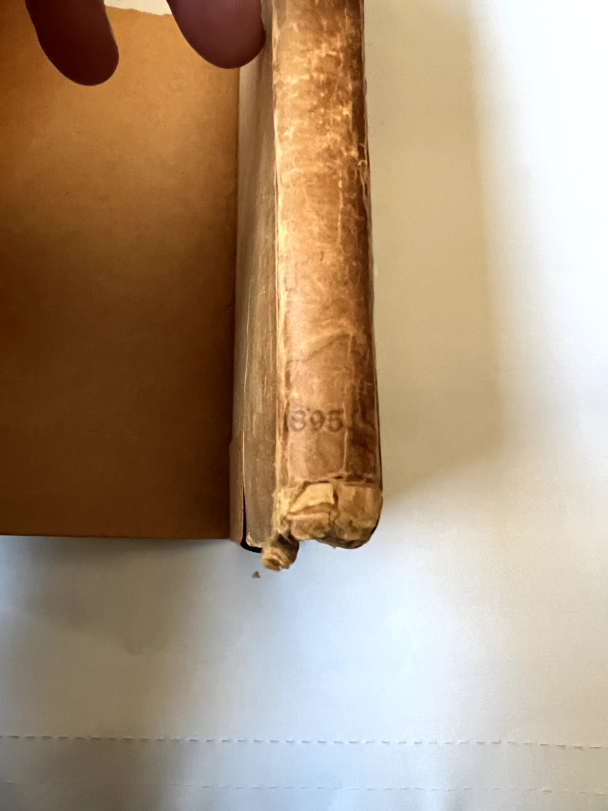 The Sonnets of Michaelangelo- 1st Ed.- 1895-Limited 725 copies- Bibelot Series