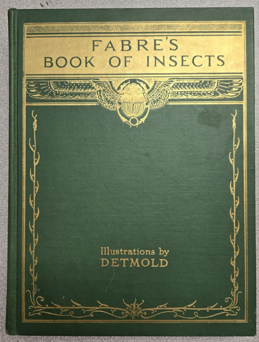 Fabre’s Book of Insects – Retold by Mrs. R. Stawell- illus. by E.J. Detmold 1935