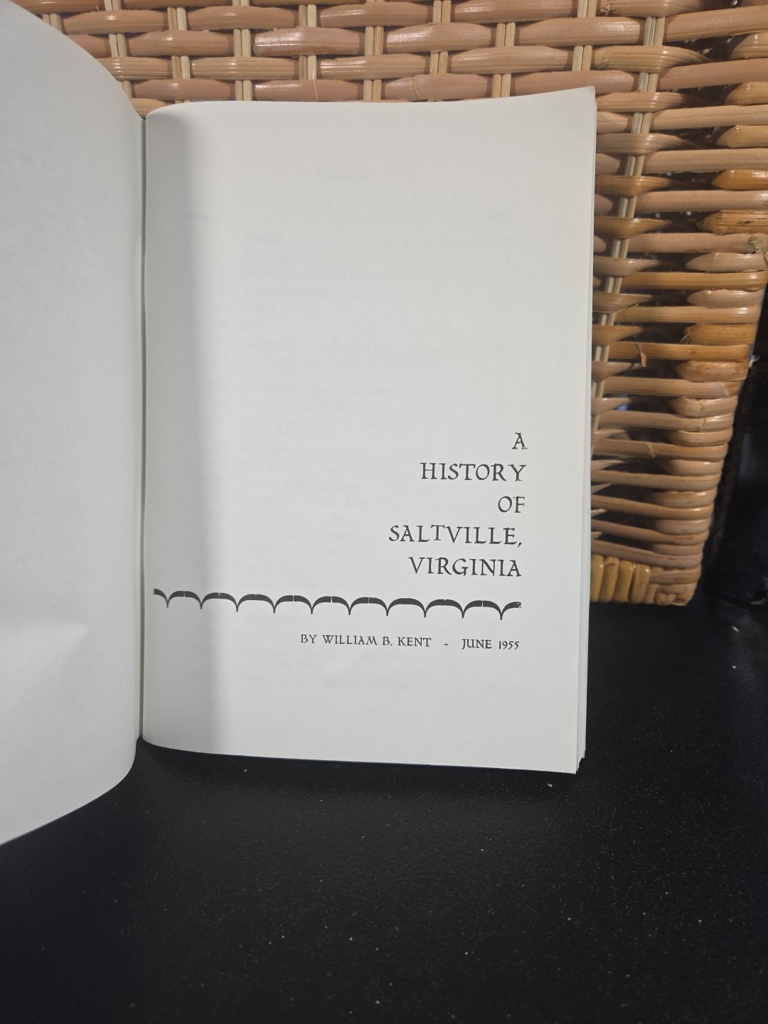 History of Saltville Virginia by William Kent 1955 Washington County Book 1991