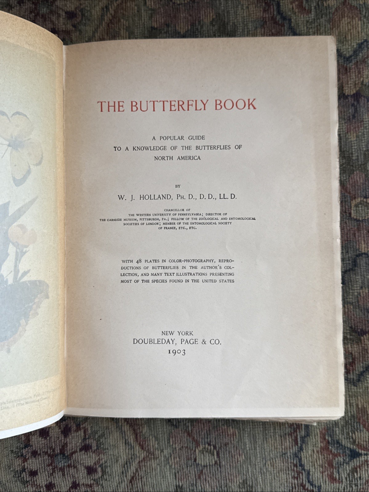The Butterfly Book. W.J. Holland. EARLY Edition ~ 1903 ~ NUMEROUS Colored Plates