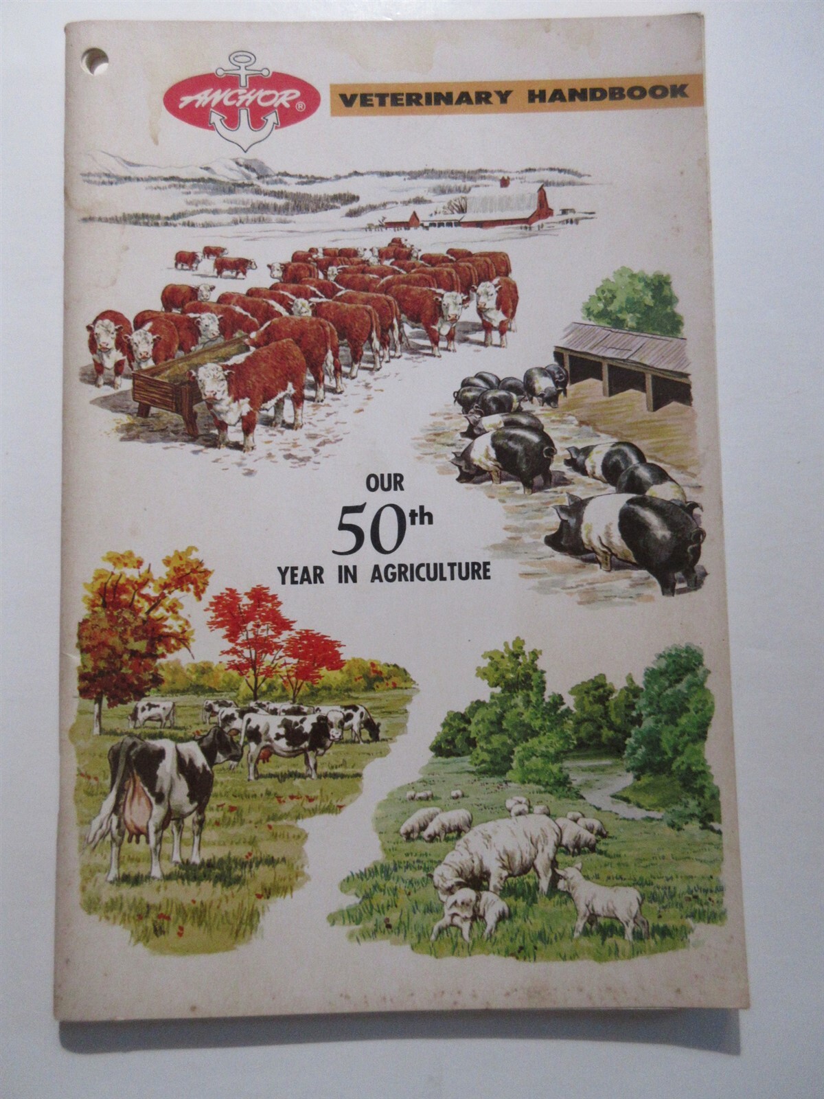 ANCHOR SERUM Co Veterinary Handbook Livestock Disease Agriculture Pharma