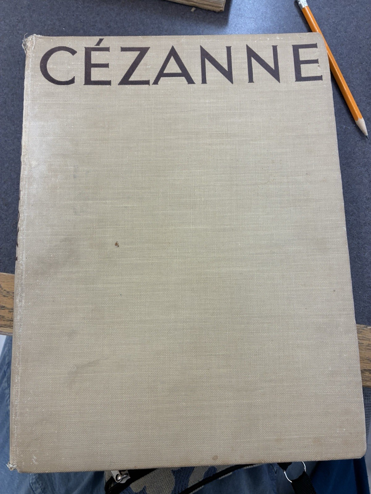 CEZANNE PHAIDON PUBLISHERS CROMWELL PLACE LONDON FORWARD FRITZ NOVOTNY W/PLATES