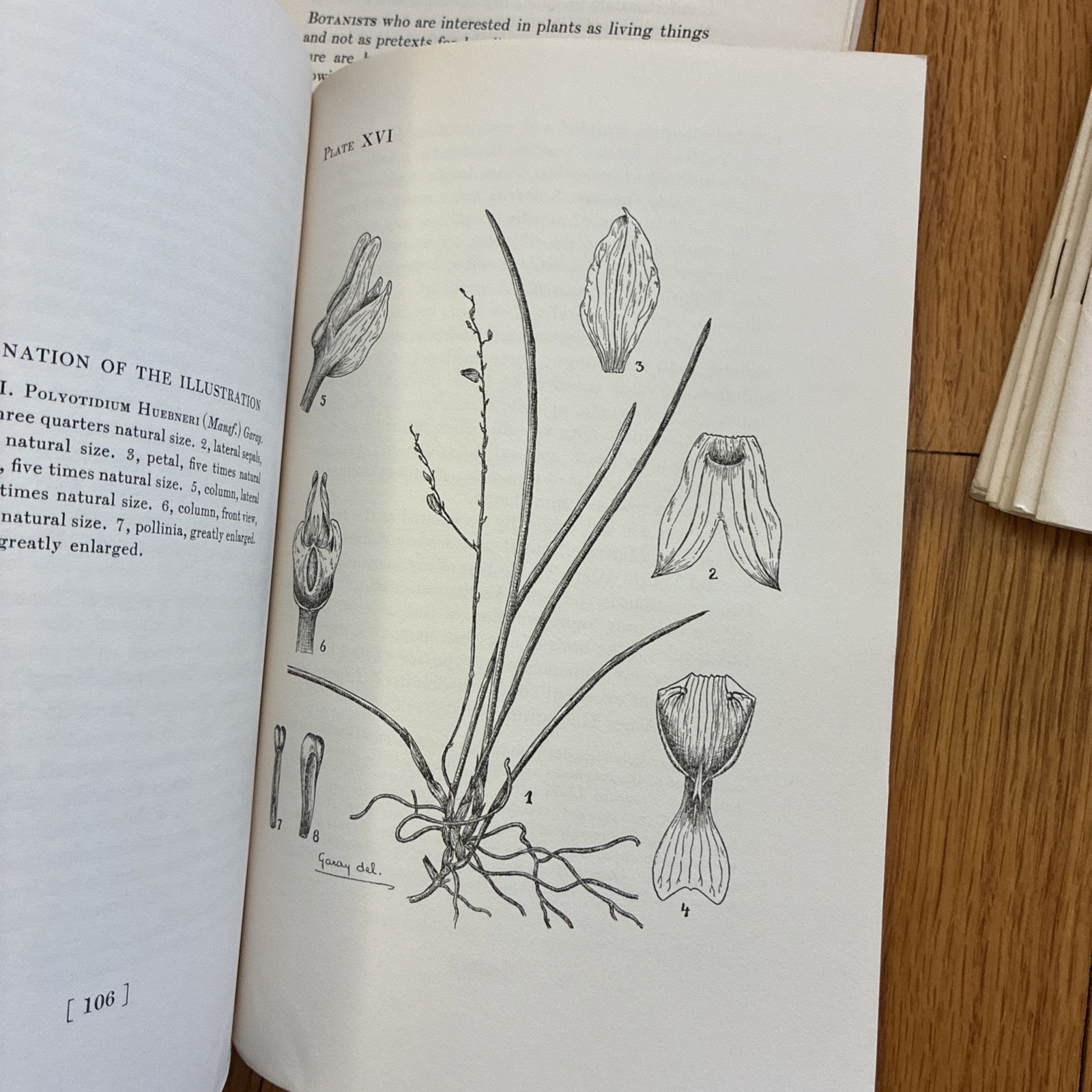 Botanical Museum Leaflets ~ Harvard University • Richard Evans Schultes 1949-59