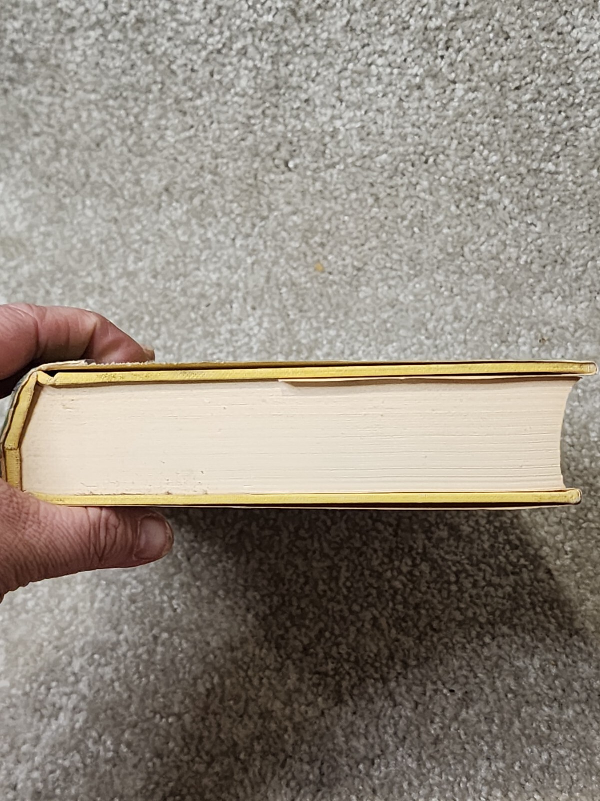 A Treasury of Birdlore by Joseph Wood Krutch & Paul S. Eriksson Hardcover 1962