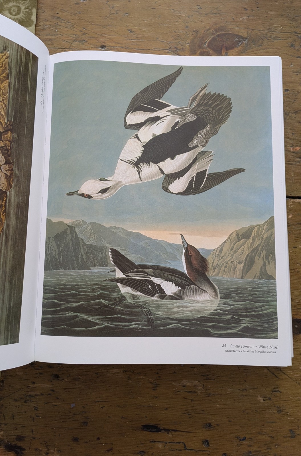 1990 AUDUBON’S BIRDS OF AMERICA from the Abbeville Press