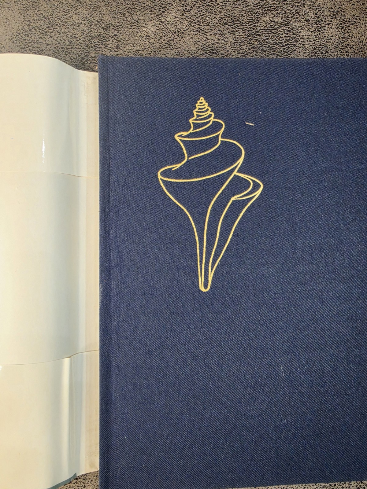 1973 The Shell Five Hundred Million Years of Inspired Design HC Abrams Shells