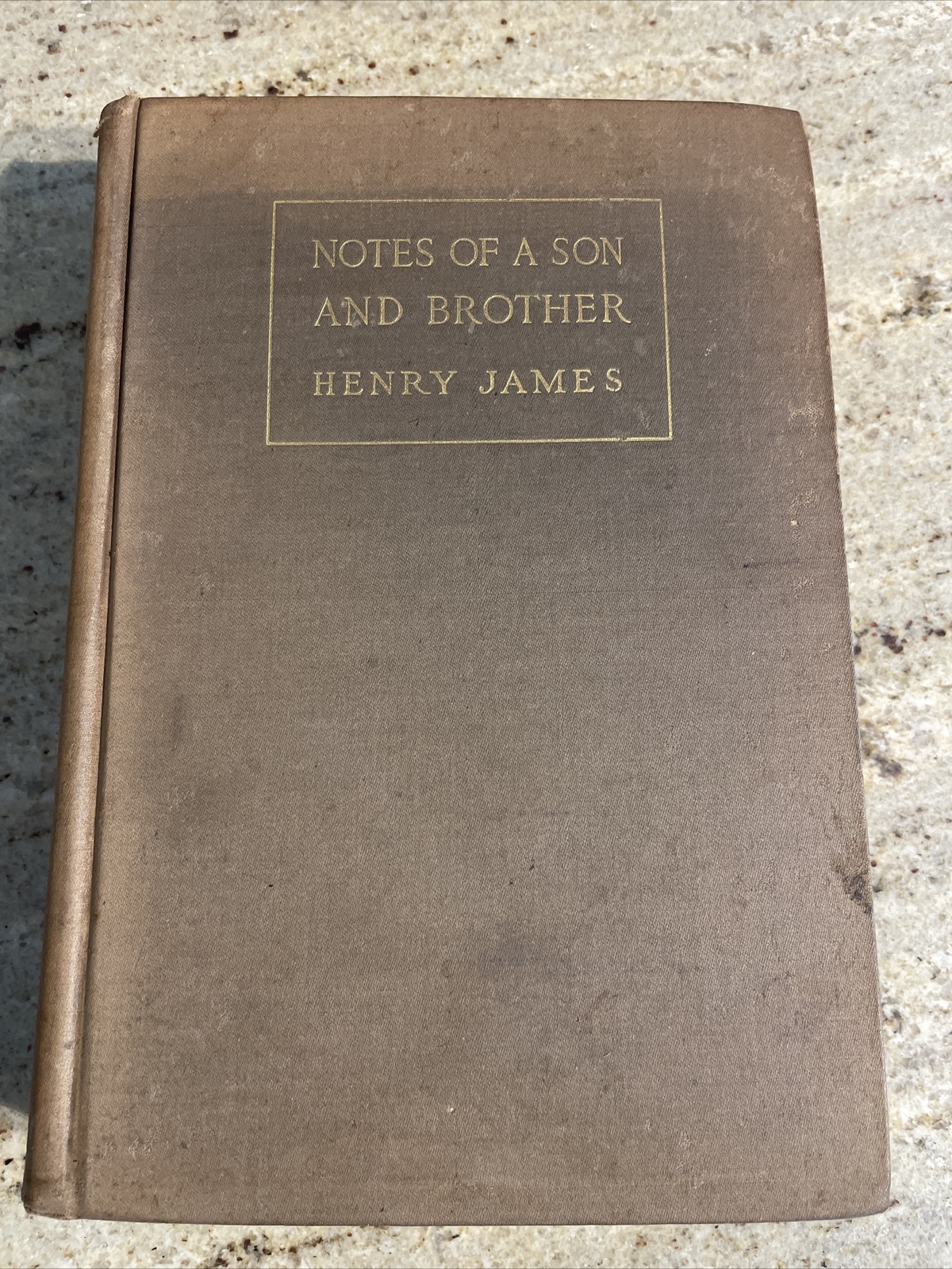 1914 Notes Of A Son And Brother by Henry James 1st Edition Illustrated HC