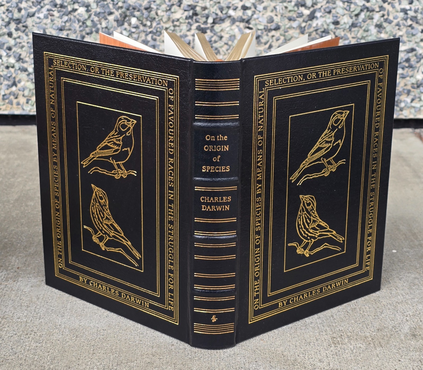 Easton Press On the Origin of Species by Charles Darwin 100 Greatest Bks Leather