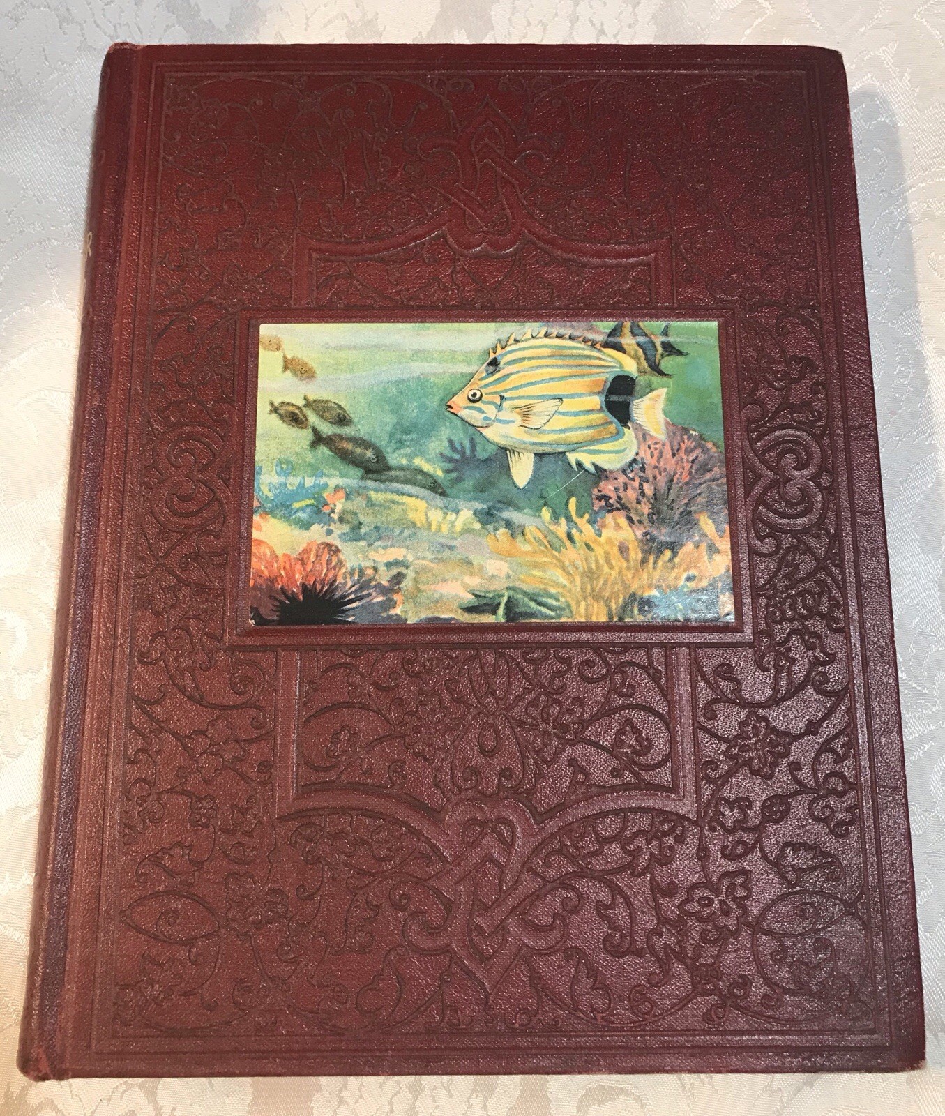 The New Wonder World Volume 10 – By Geo. L. Shuman THE LITERATURE BOOK 1949