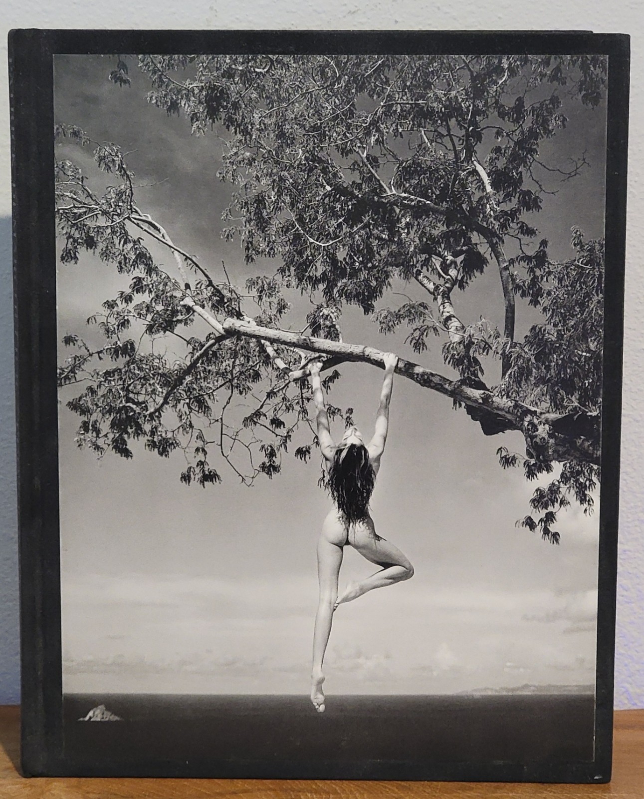 Patrick Demarchelier: Photographs by Patrick Demarchelier Pictorial Hardcover NF
