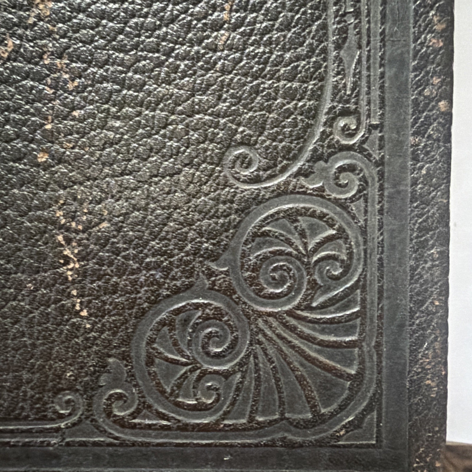 Antique Book Practical Guide To Health Illustrated Rossiter 1910
