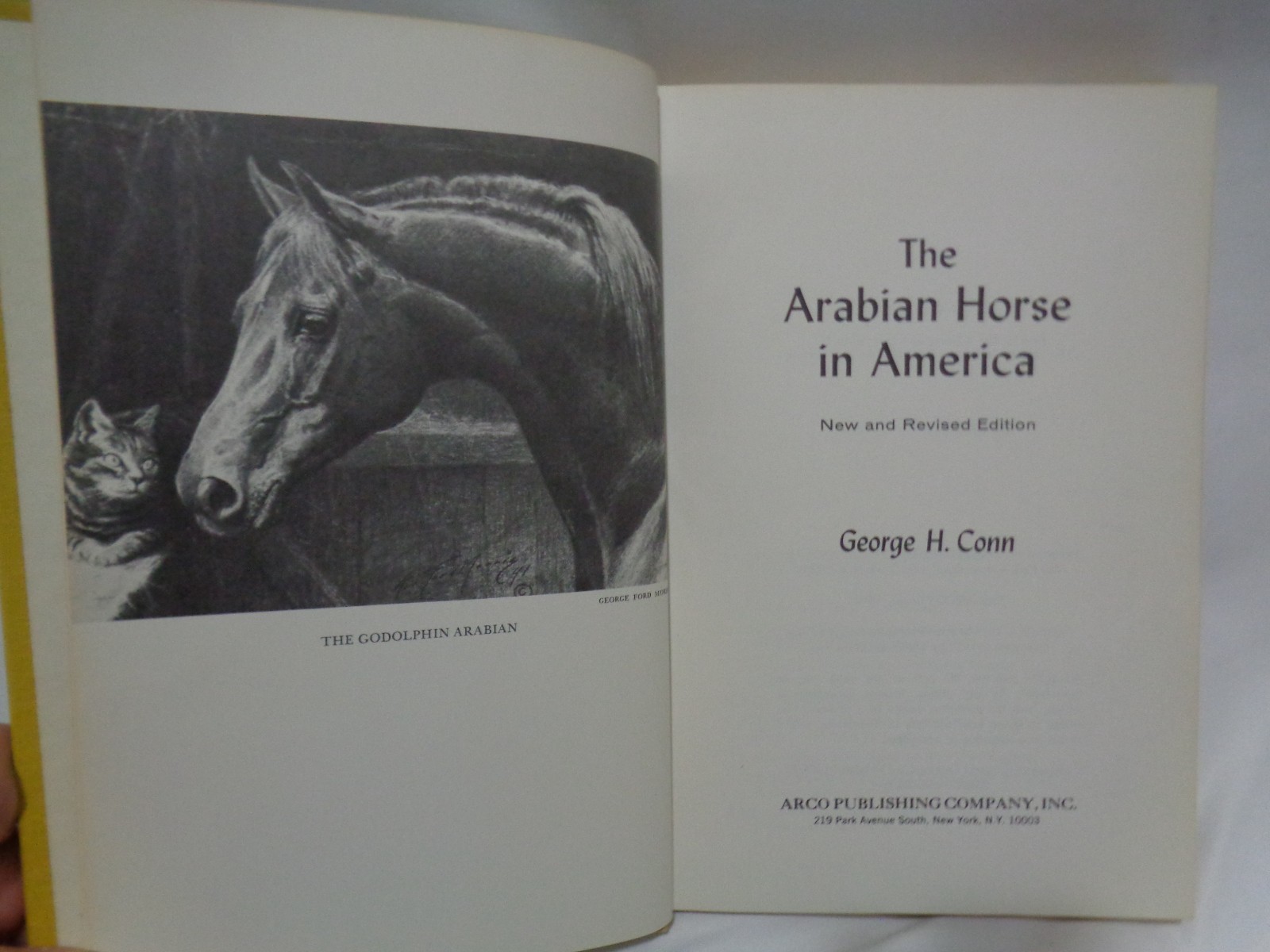 1st Arco Printing Arabian Horse in America History Conn Original Dustcover