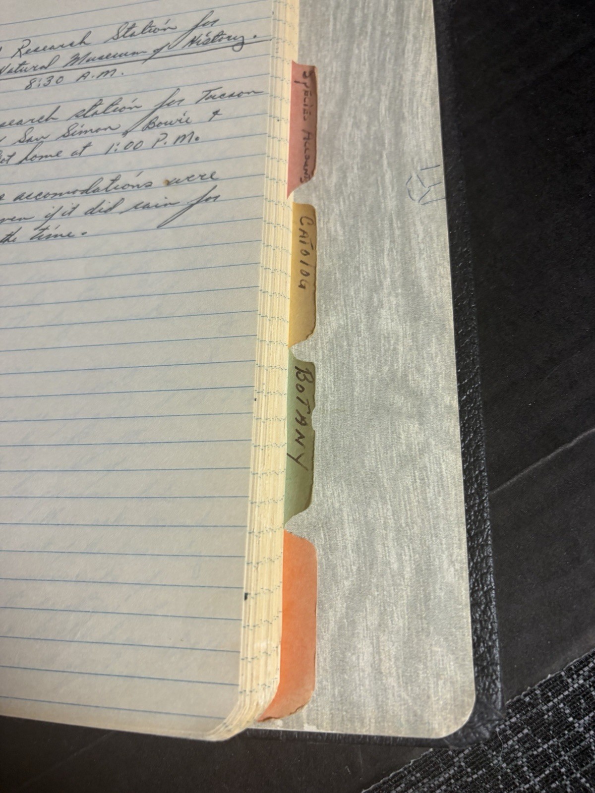 1963 Wildlife Management Field Notes Binder Zoo 260 Arizona Manuscript