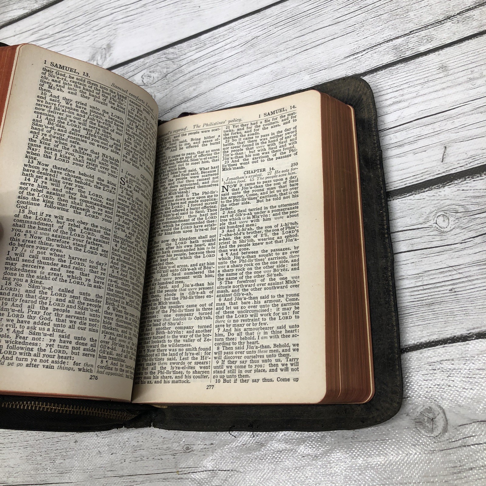 Holy Bible Self Pronouncing International Illustrated John C Winston Co