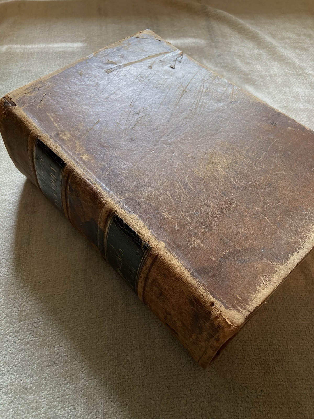 American Eclectic Dispensatory, John King, M. D., 1856, Poor-Fair Condition