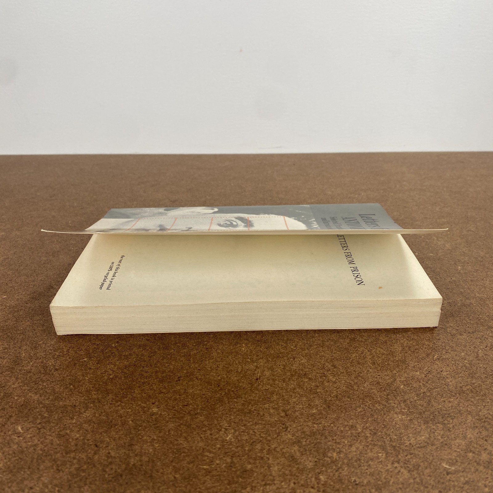 Letters from Prison Antonio Gramsci Marxism Communism Political Theory Italy