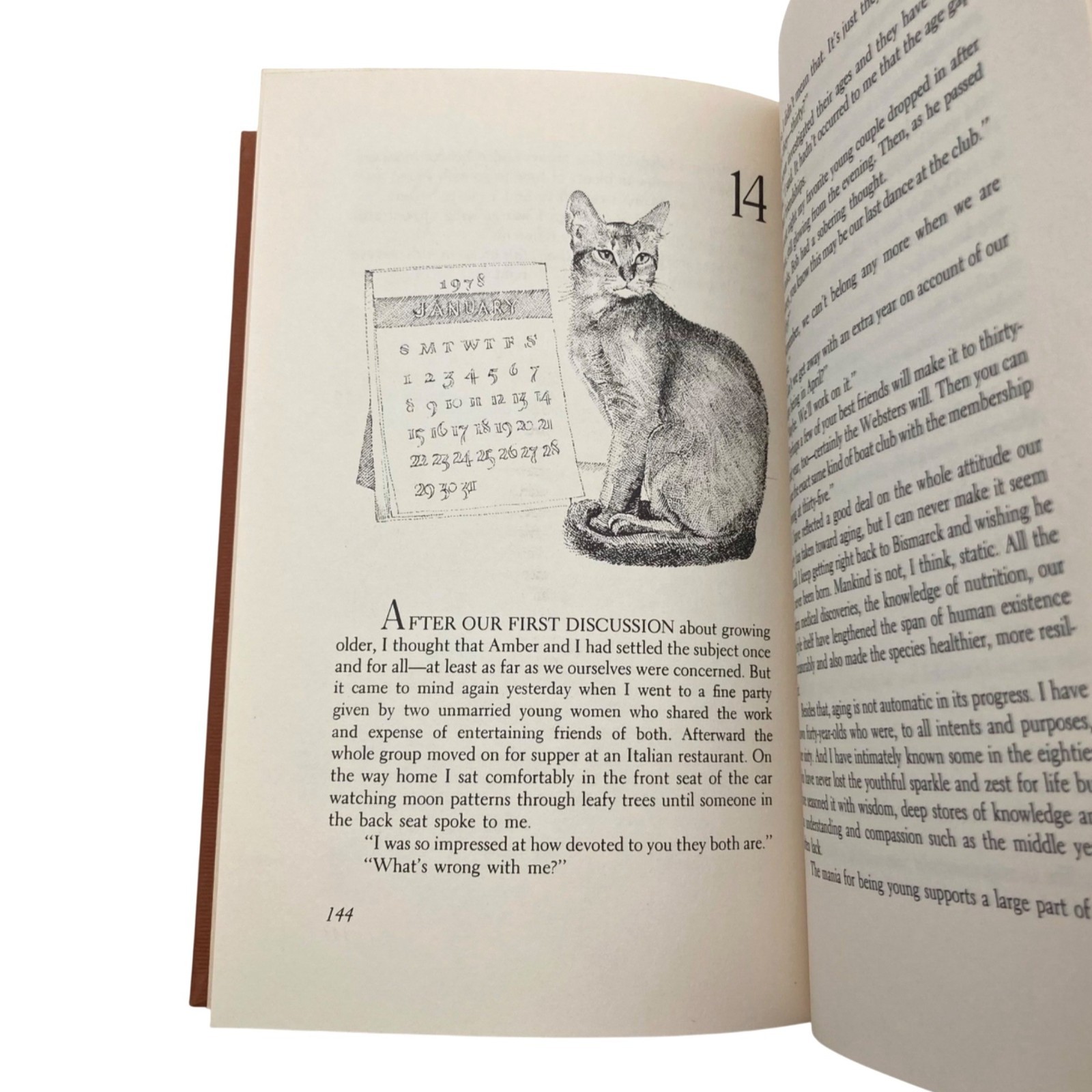 CONVERSATIONS WITH AMBER Gladys Taber Vtg 1978 HC DJ 1st First Ed Personal Cat