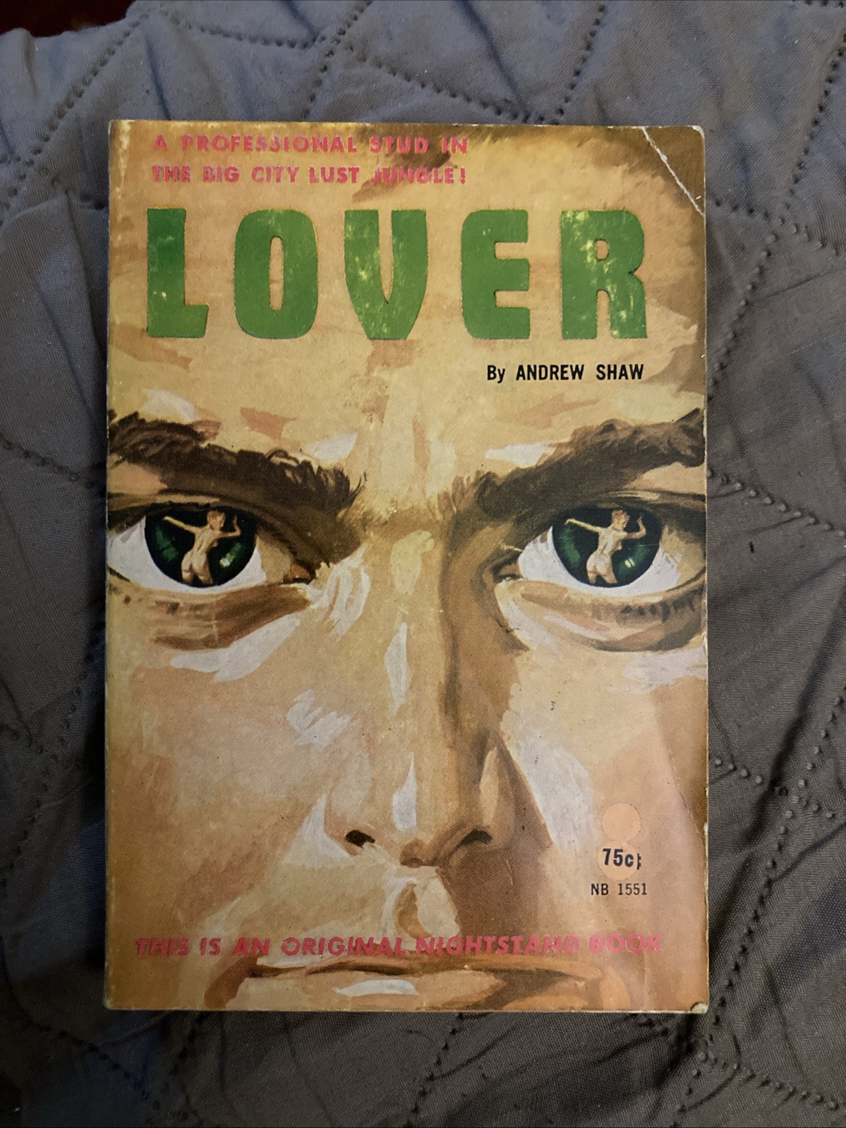 Sleaze gga Vintage Pb, Lover by Shaw (Block) Nightstand Book 1551, 1961, VG