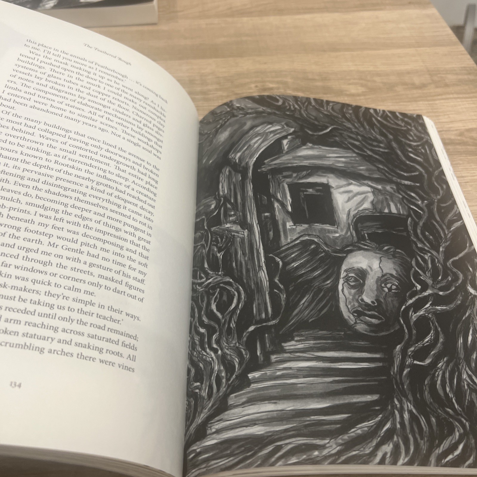 The Feathered Bough – Stephen J Clark – (Zagava 2019) 11 inch Paperback – VGC