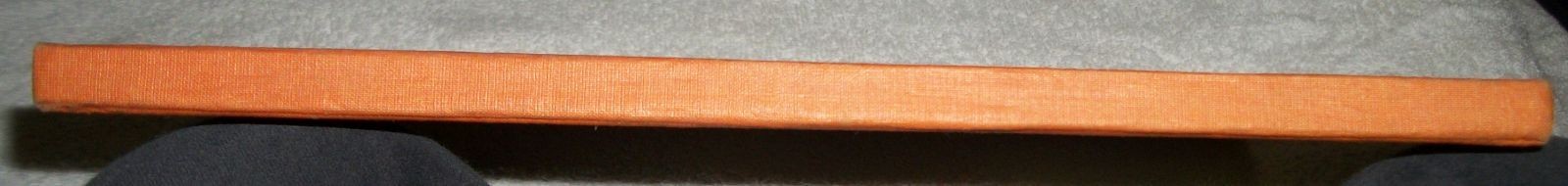 First 1935 Ed RAG-DOLL JANE by CAROLYN TREFFINGER 8 FERN BISEL PEAT Color PLATES