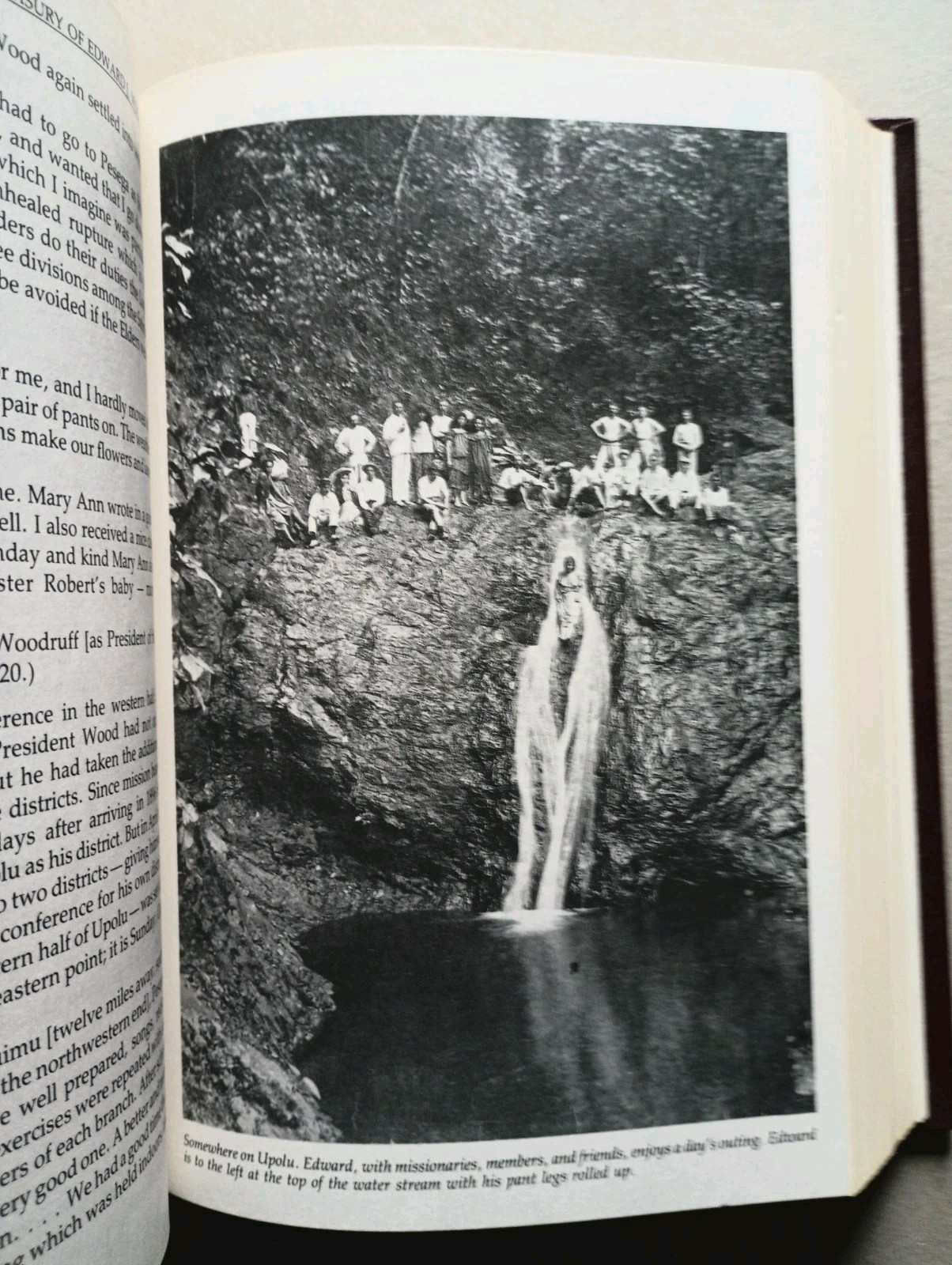 A Treasury of Edward J. Wood (1983) Olive Wood Nielson First Printing HC
