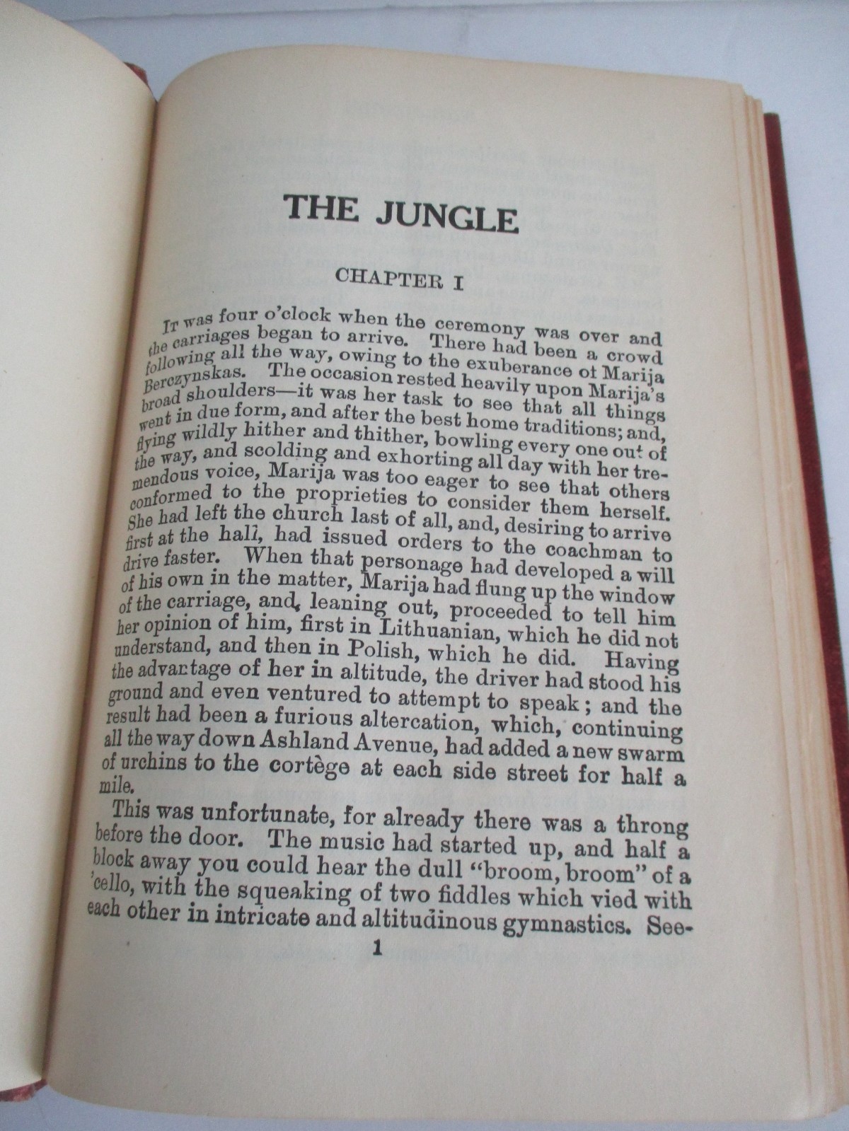 THE JUNGLE by Upton Sinclair, published by Upton Sinclair, 1920