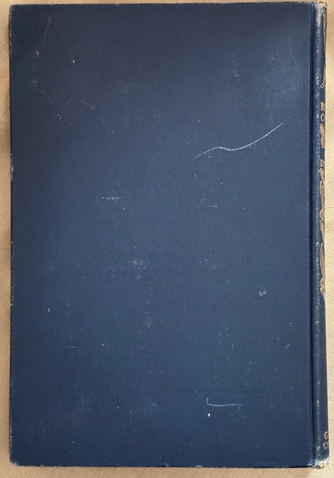 1901 Moths & Butterflies by Mary Dickerson, 1st Edition, 1st Print / HC